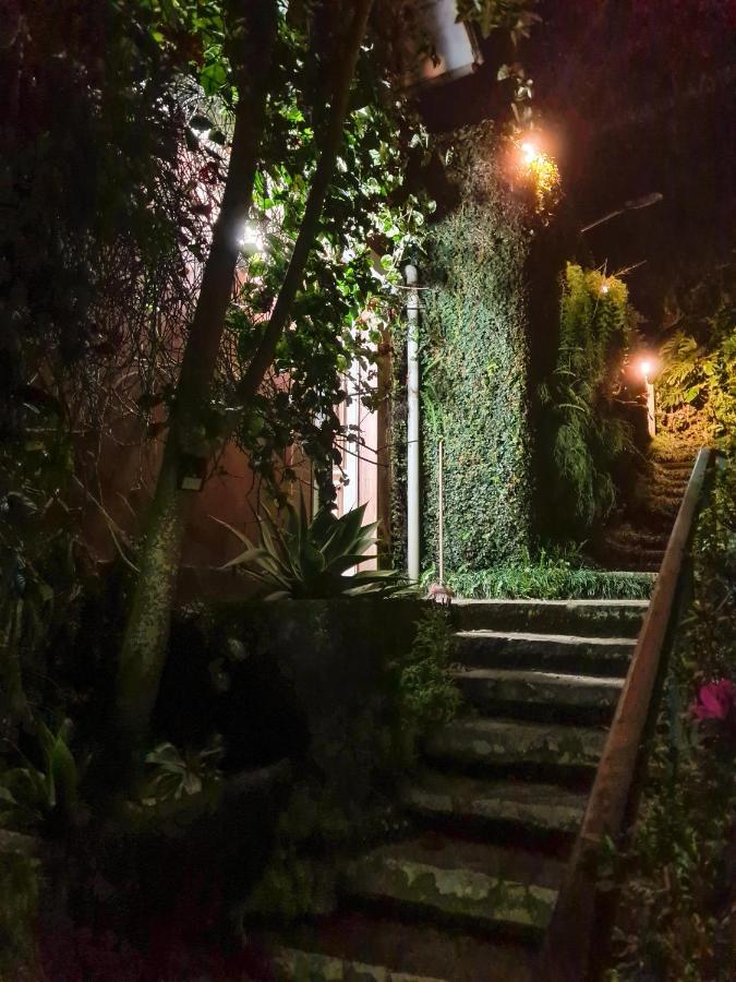 Petrópolis Villa Violeta מראה חיצוני תמונה