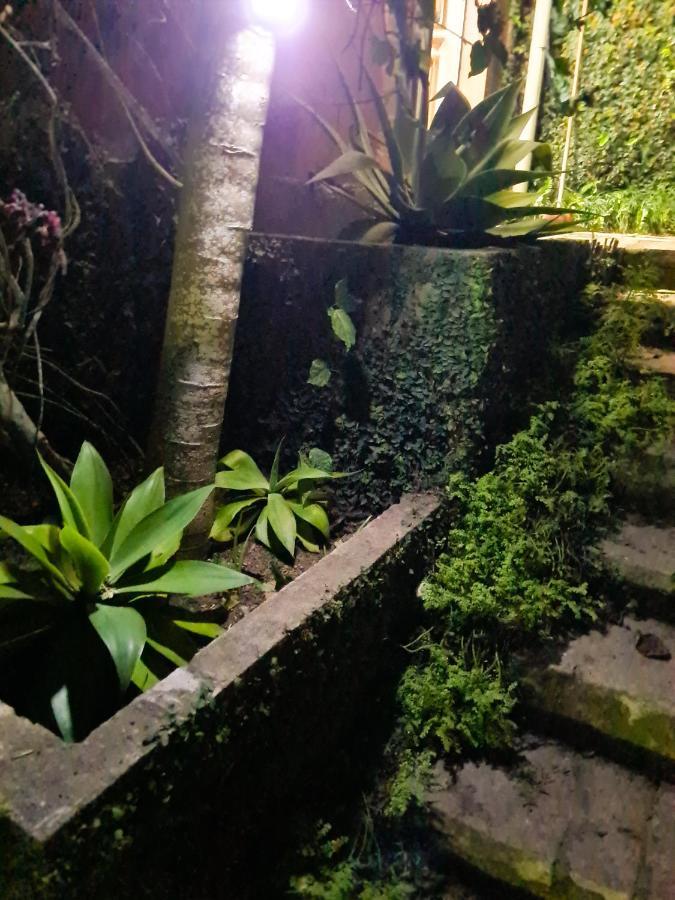 Petrópolis Villa Violeta מראה חיצוני תמונה