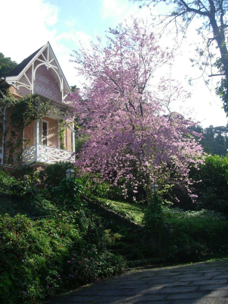 Petrópolis Villa Violeta מראה חיצוני תמונה