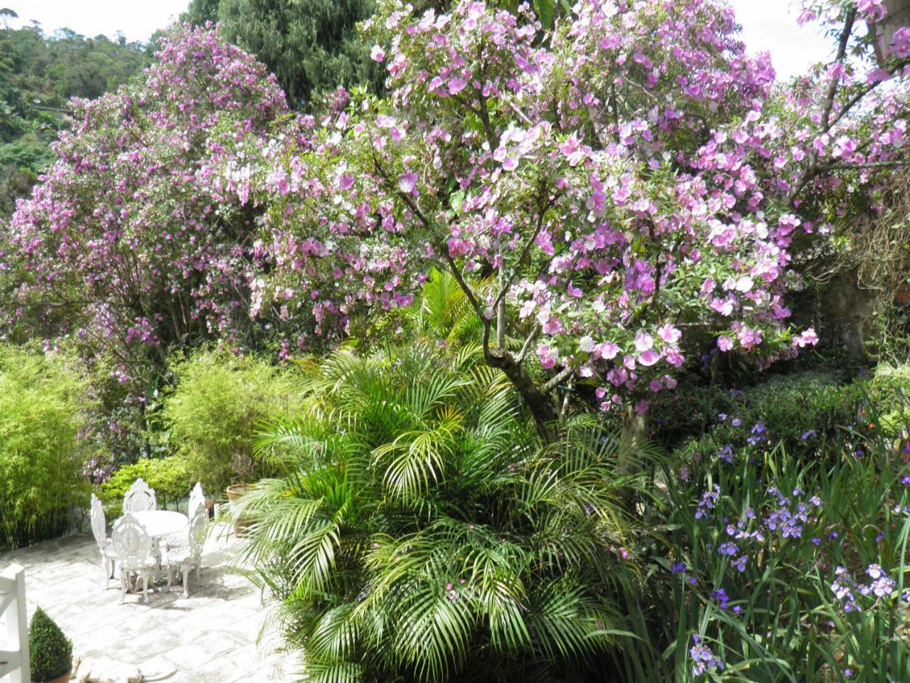 Petrópolis Villa Violeta מראה חיצוני תמונה